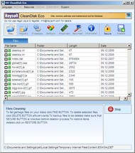 HS CleanDisk Eco screenshot